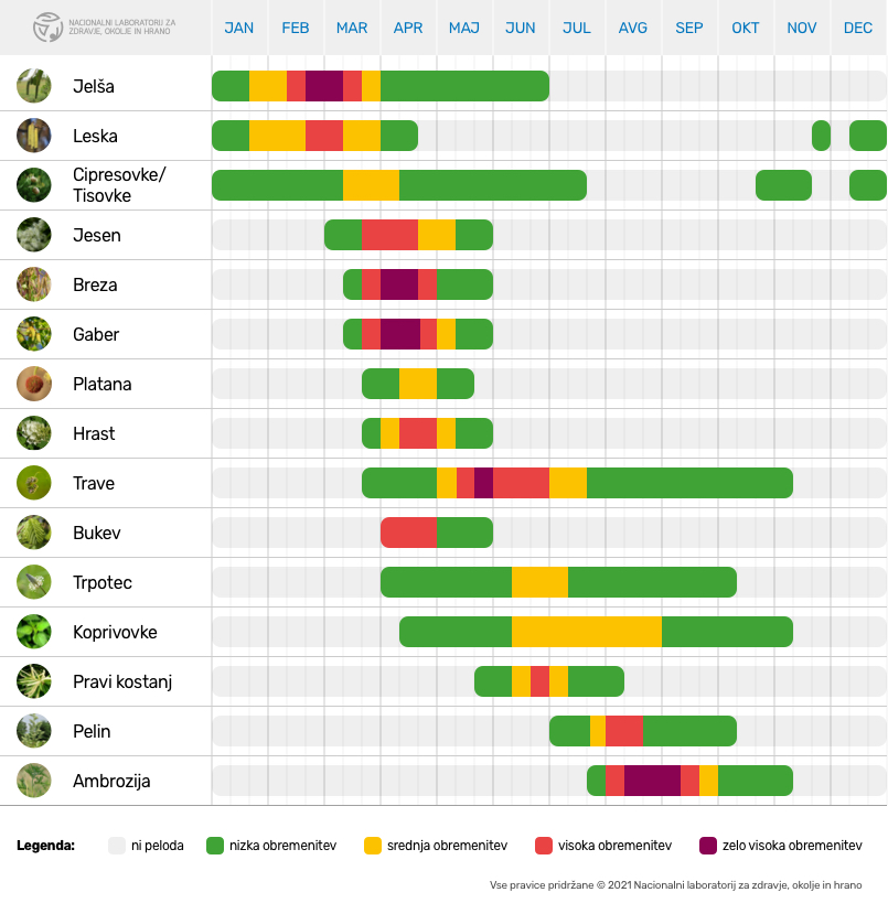 https://www.nlzoh.si/wp-content/uploads/2021/03/nlzoh_cvetni_prah_2021_koledar_maribor.jpg